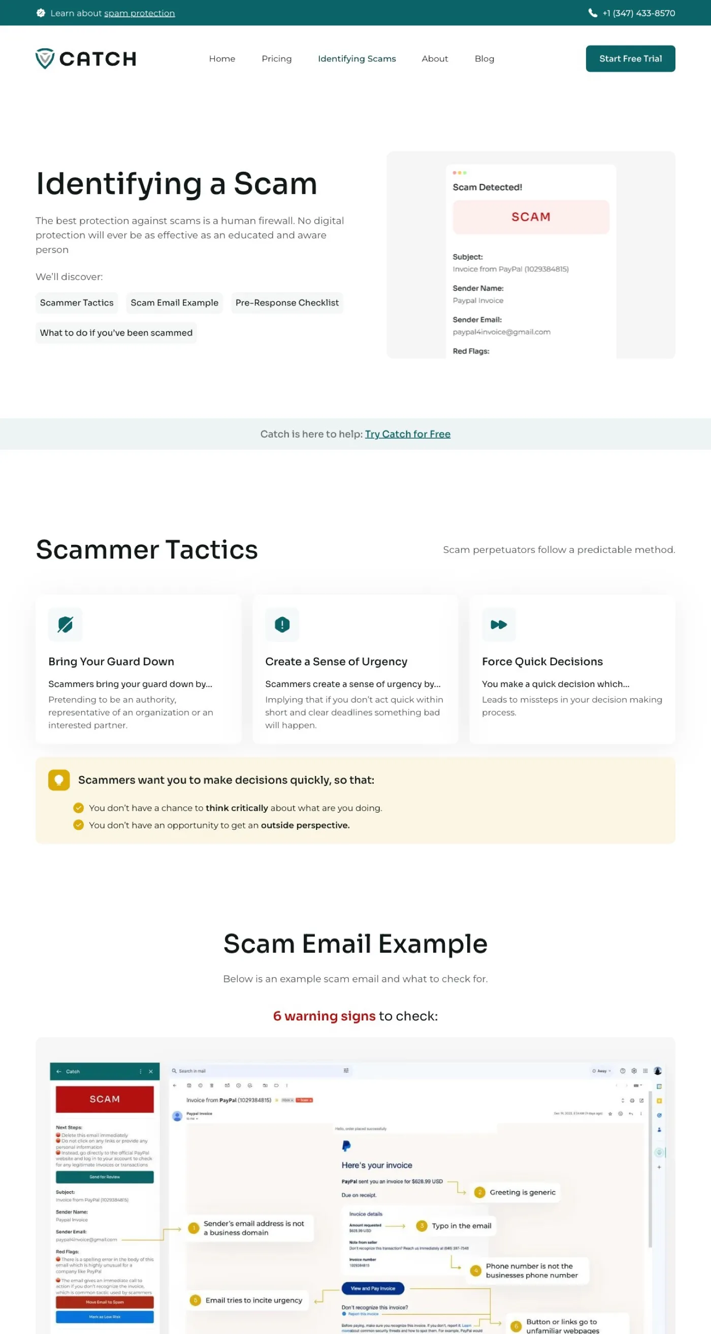 The How to Identify and Avoid Scams page on the Catch site — the educational guide seniors use to learn the warning signs of a scam email.
