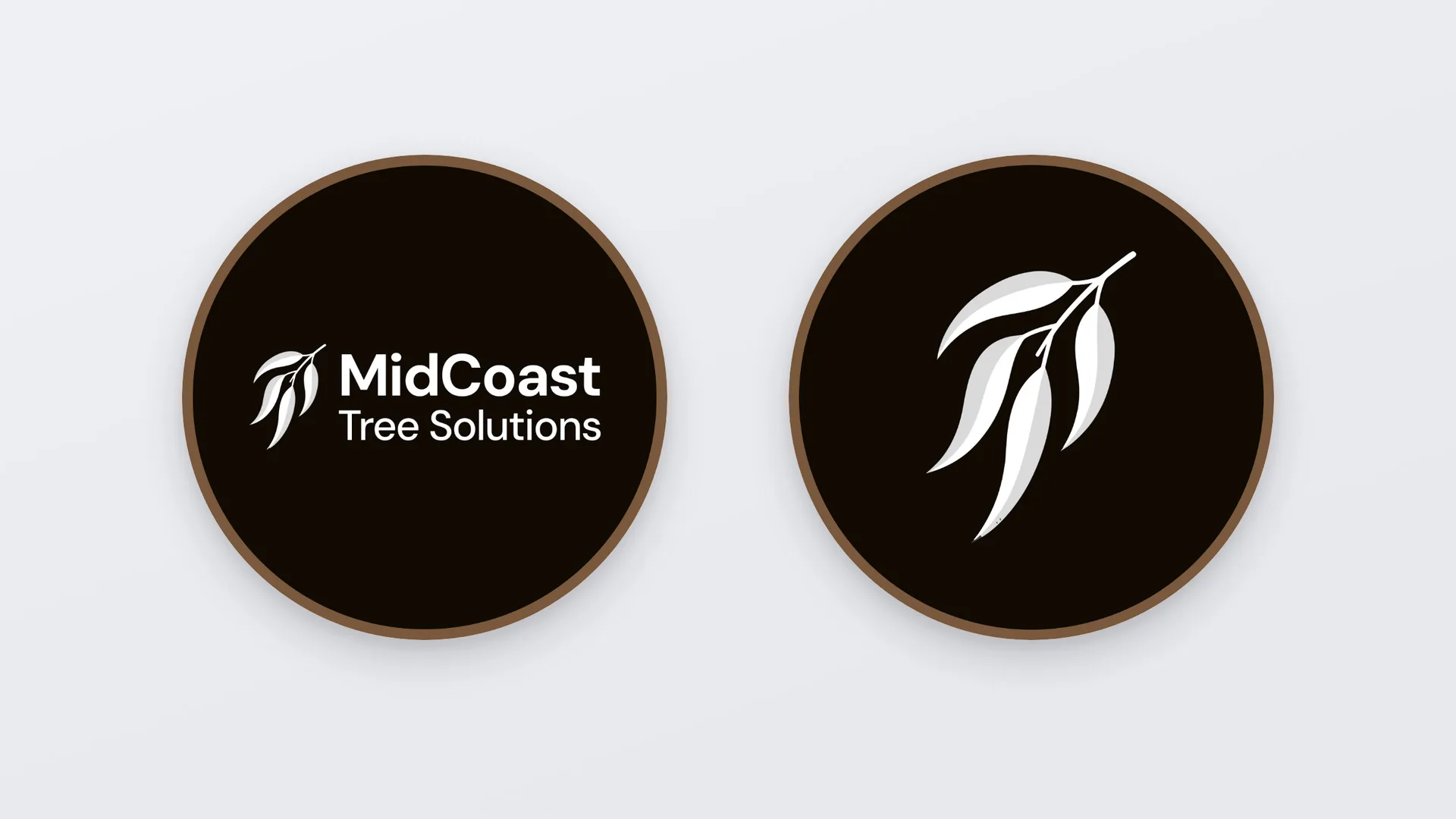 Two round MidCoast Tree Solutions profile pictures on a pale grey board, each on a near-black ground inside a brown ring. The left one carries the full white logo, the gum-leaf symbol beside the MidCoast Tree Solutions wordmark. The right one carries the gum-leaf symbol on its own.
