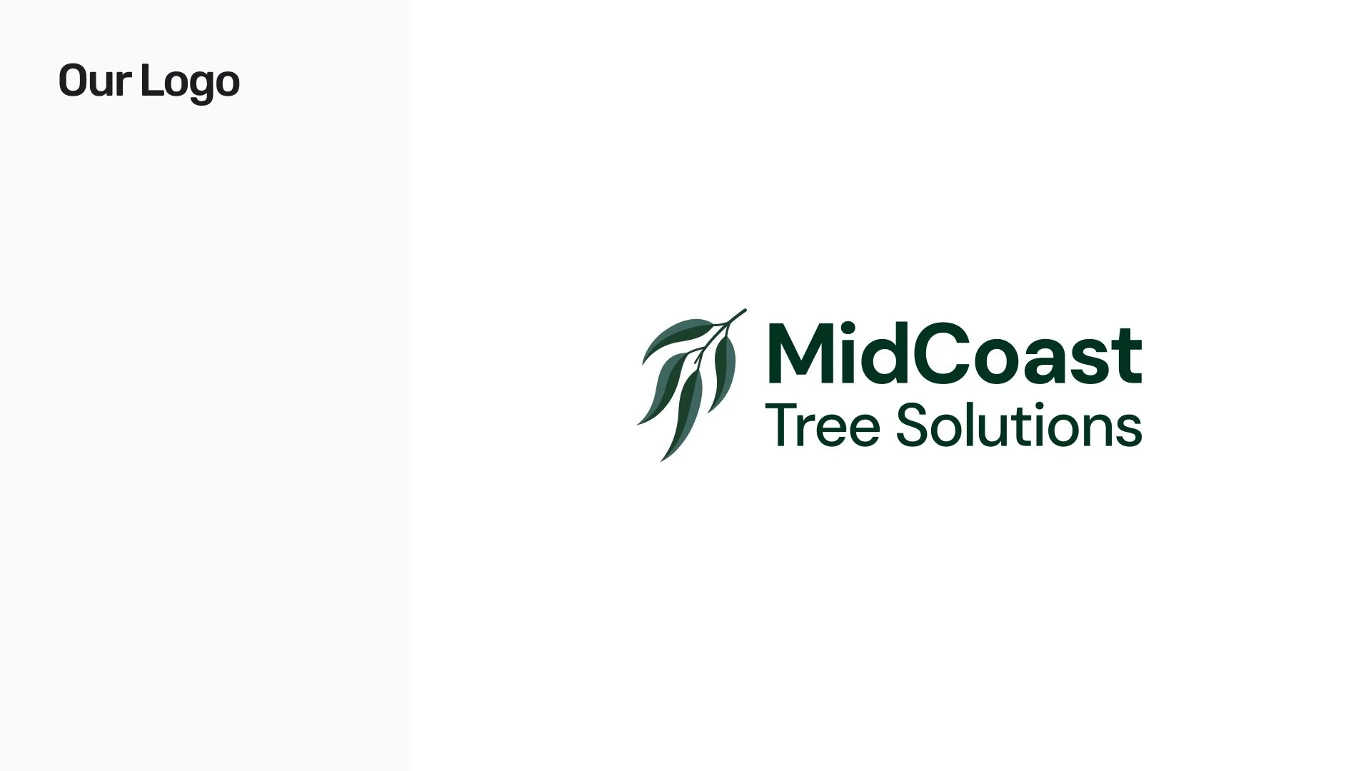 The style guide page Our Logo: the gum-leaf sprig in two tones of dark green beside MidCoast in bold with Tree Solutions beneath it.