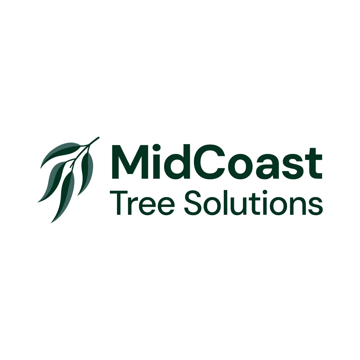 The MidCoast Tree Solutions logo on white: a sprig of four gum leaves in two tones of dark green, beside MidCoast in bold with Tree Solutions beneath it in a lighter weight, both in dark green.