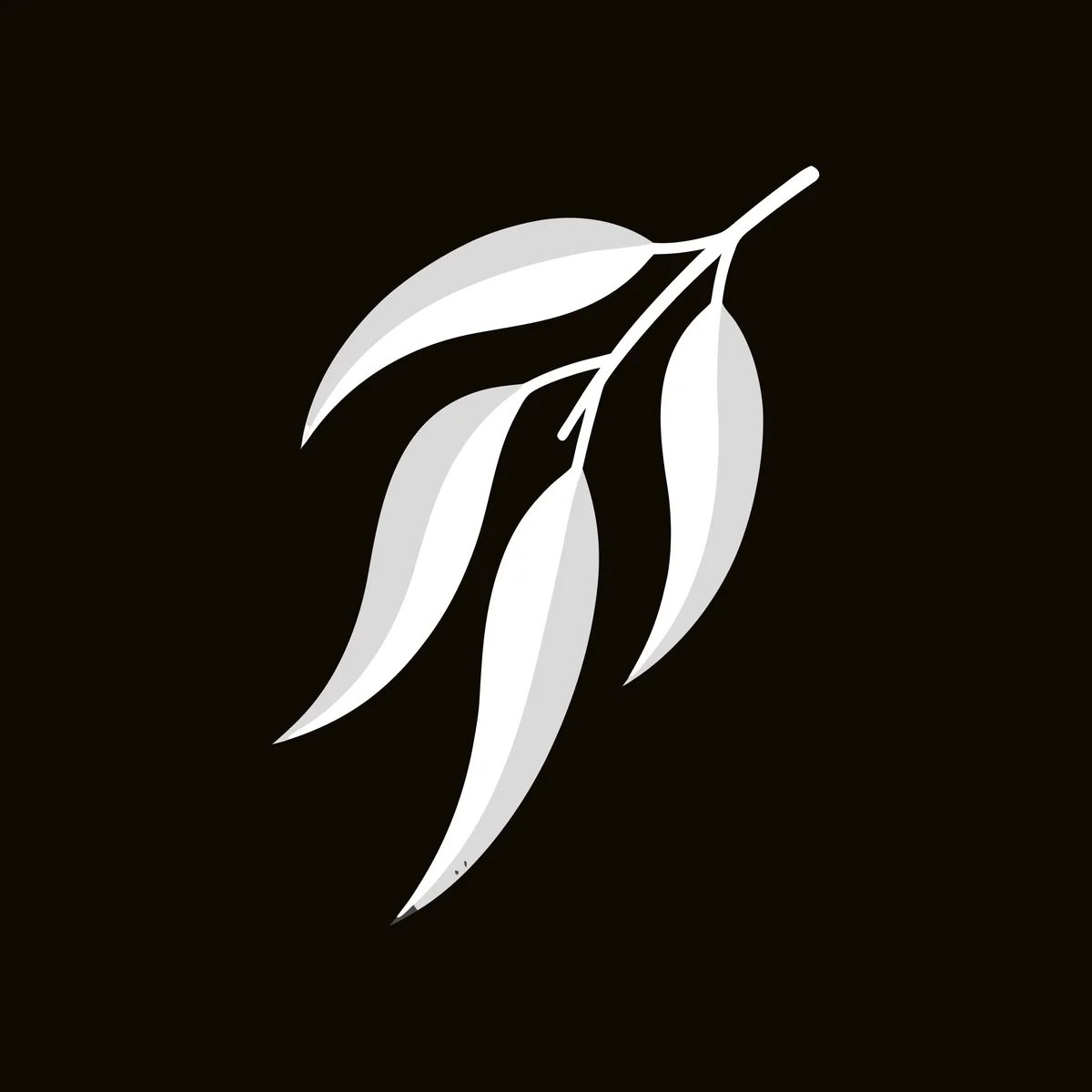 The MidCoast Tree Solutions symbol on its own on a warm near-black square: the four-leaf gum sprig in white and pale grey.