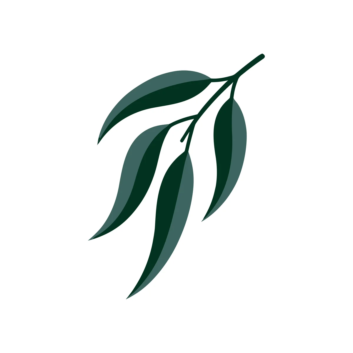 The MidCoast Tree Solutions symbol on its own on white: a sprig of four gum leaves in two tones of dark green.